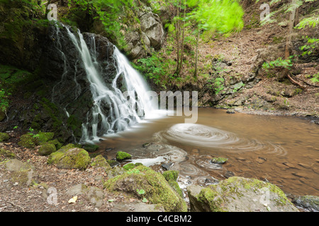 Scende alla Fairy Glen sulla Black Isle of Scotland. Foto Stock