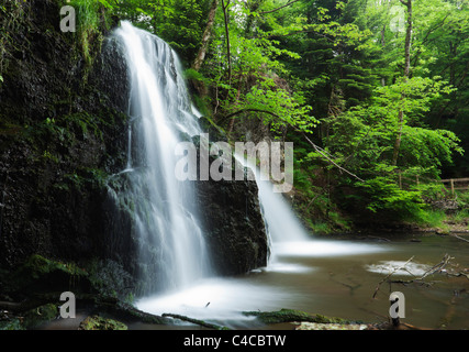 Scende alla Fairy Glen sulla Black Isle of Scotland. Foto Stock