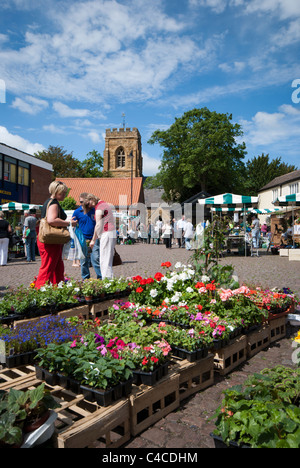 Market Rasen giardinieri mercato, svoltasi nella piazza del mercato, Market Rasen, Lincolnshire, Inghilterra, Regno Unito. Foto Stock