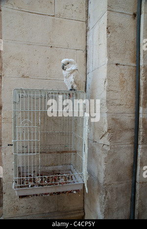 Gerusalemme è una città santa per le tre grandi religioni abramitiche-Ebraismo, Cristianesimo e Islam. Nel giudaismo, Gerusalemme è stata Foto Stock