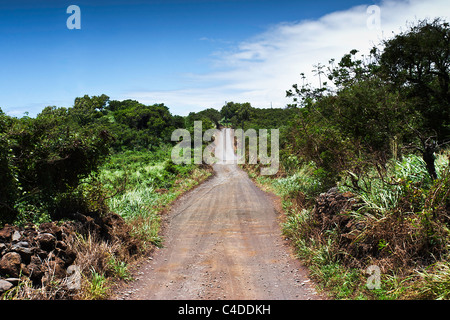 Autostrada Piilani in Maui, Hawaii Foto Stock