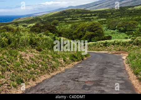 Autostrada Piilani in Maui, Hawaii Foto Stock