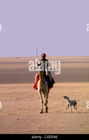 Beduin Al-Murrah in Empty Quarter - Rub-al-Khali - dell'Arabia Saudita. Egli corre con il suo cane Saluki e ha un fucile da caccia. Foto Stock