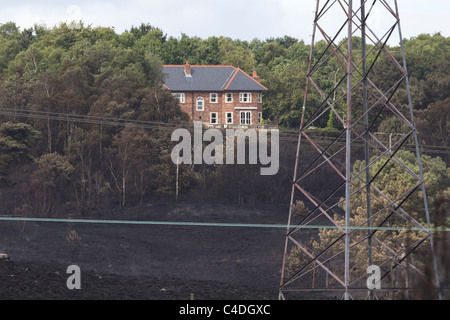 Postumi di Upton Heath fire vicino a Poole, Dorset, Regno Unito. Foto Stock