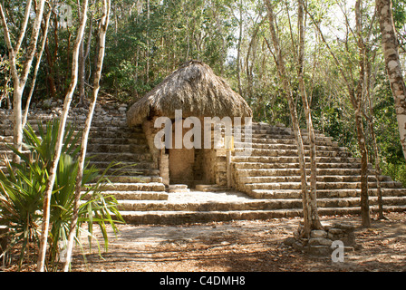 Stela maya intemperie nel gruppo di Macanxoc alle rovine di Cobá, Quintana Roo, Messico Foto Stock