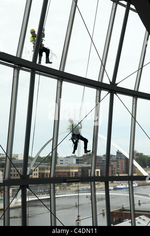 Pulitori opera di discesa in corda doppia verso il basso lungo le pareti della salvia concert hall in Gateshead Millennium Bridge in background, NE L'Inghilterra, Regno Unito Foto Stock