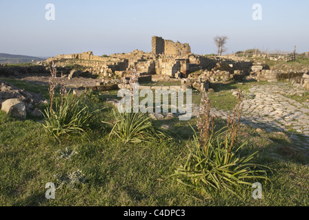 Rovine di Cencelle, Tarquinia, Italia centrale. Foto Stock