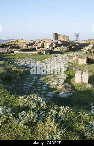 Rovine di Cencelle, Tarquinia, Italia centrale. Foto Stock