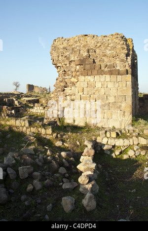 Rovine di Cencelle, Tarquinia, Italia centrale. Foto Stock