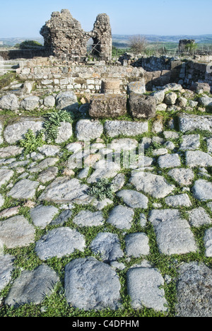 Rovine di Cencelle, Tarquinia, Italia centrale. Foto Stock