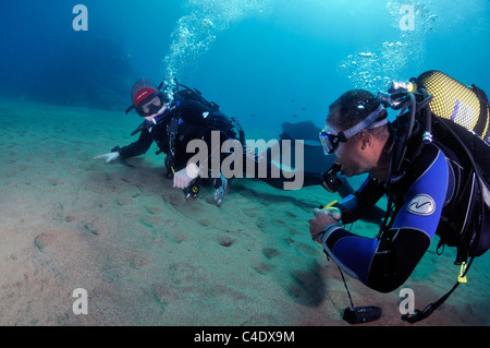 Subacquei sul fondale sabbioso, acqua blu Foto Stock