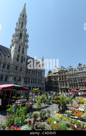 Il mercato dei fiori, il Municipio, la Grand Place di Bruxelles Foto Stock