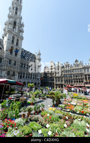 Il mercato dei fiori in Grand Place di Bruxelles Foto Stock