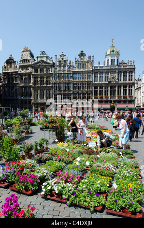 Il mercato dei fiori in Grand Place di Bruxelles Foto Stock