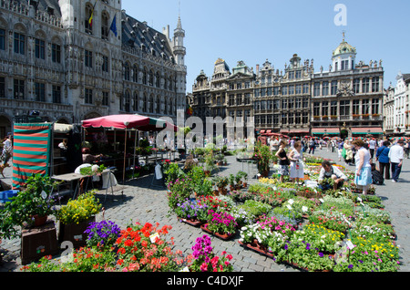 Il mercato dei fiori in Grand Place di Bruxelles Foto Stock