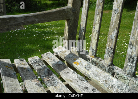 Il Lichen sul banco, Eastbourne cimitero, East Sussex, GB. Foto Stock