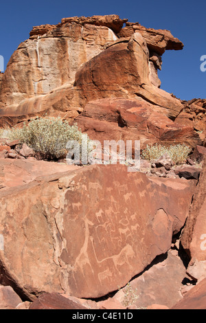 Antica boscimani san arte rupestre a Twylfelfontein, Namibia Foto Stock