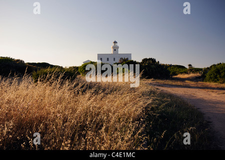 Il Capo Ferro faro dal campo al crepuscolo, Porto Cervo Arzachena, Sardegna, Italia Foto Stock