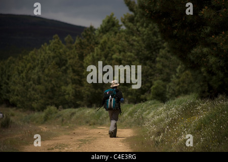 Un pellegrino passeggiate in una pista situata nel modo francese che porta a Santiago de Compostela, Castilla Leon Regione, Spagna Foto Stock