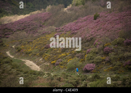 Un pellegrino passeggiate in una pista situata nel modo francese che porta a Santiago de Compostela, a El Bierzo regione, Leon, Spagna Foto Stock