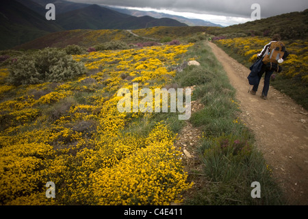 Un pellegrino passeggiate in una pista situata nel modo francese che porta a Santiago de Compostela, El Bierzo regione, Leon provincia,Spagna Foto Stock