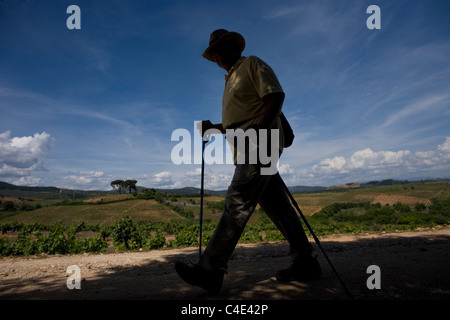 Un pellegrino passeggiate in una pista situata nel modo francese che porta a Santiago de Compostela, vicino a Villafranca del Bierzo, Spagna. Foto Stock