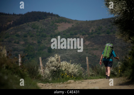 Un pellegrino passeggiate in una pista situata nel modo francese che porta a Santiago de Compostela, El Bierzo regione, Leon provincia,Spagna Foto Stock