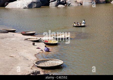 Coracles (tradizionale di bambù imbarcazioni rotonde). Fiume Tungabhadra. Hampi. Il Karnataka. India Foto Stock