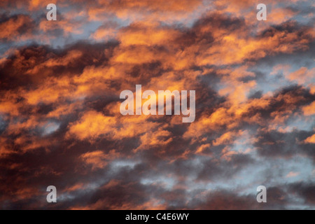 Giallo dorato cielo nuvoloso dopo la pioggia Foto Stock