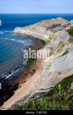 In cima alla scogliera vista del bollitore Ness, East Coast Yorkshire, Inghilterra Foto Stock