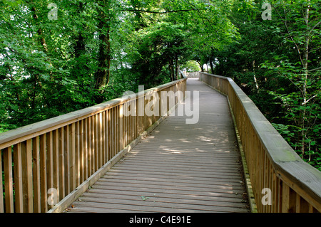 Passerella per Yat Rock, Symonds Yat, Gloucestershire, England, Regno Unito Foto Stock