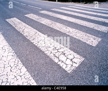 Pedonale (zebra crossing) attraversando, Italia, Europa Foto Stock