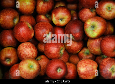 Organici di mele rosse Foto Stock