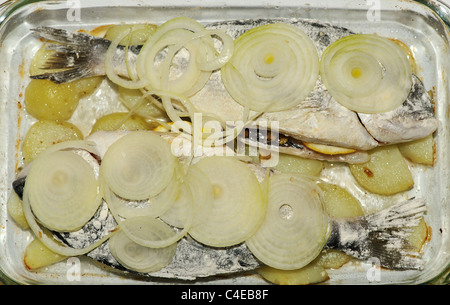 Due Orate di mare con le cipolle e le patate preparate per la cottura Foto Stock