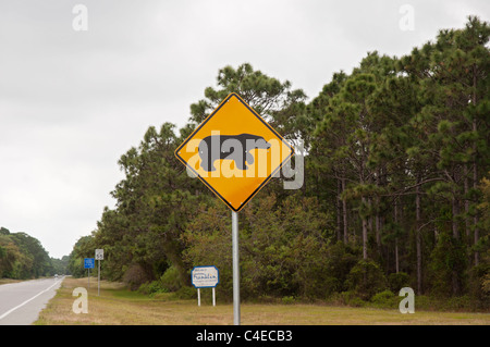 Autostrada segno attenzione a guardare fuori per orsi neri che attraversa la strada in Florida Panhandle area Foto Stock
