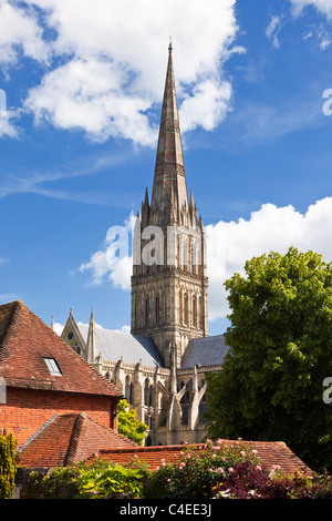 La guglia della Cattedrale di Salisbury, Wiltshire, Inghilterra, Regno Unito dalla cattedrale vicino Foto Stock