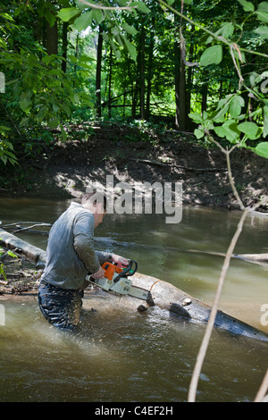 Volontari chiaro impasse come parte della pulizia annuale del Rouge River Foto Stock