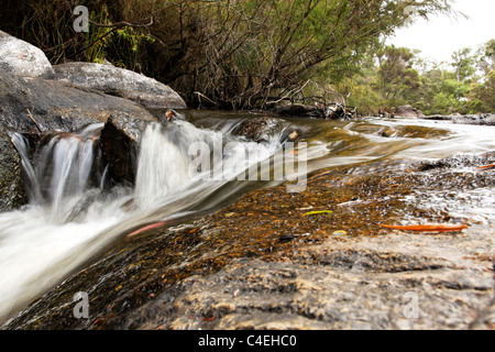 Acqua che scorre sulla pietra di granito di massi, Franklin River, Walpole Southwest Australia Foto Stock