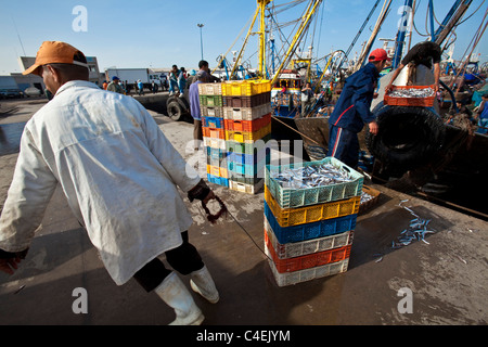 I pescatori portando le catture, Agadir, Marocco Foto Stock