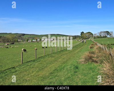 Jedforest Cervi, Scottish Borders - vista generale di attrazione turistica Foto Stock