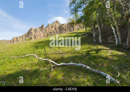 Paesaggio in Gorkhi-Terelji National Park, Mongolia Foto Stock