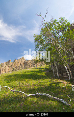 Paesaggio in Gorkhi-Terelji National Park, Mongolia Foto Stock