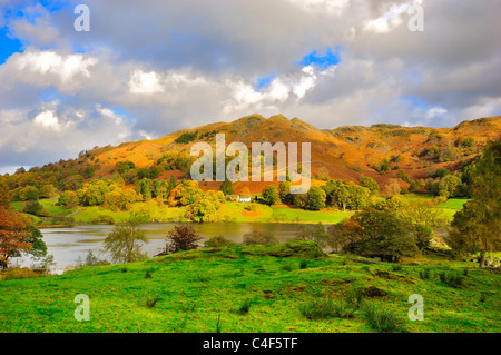 Loughrigg, tarn, autunno, Lake District, Inghilterra, cumbria, Regno Unito, Foto Stock