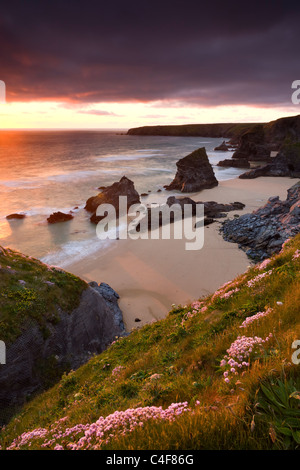 Sunset over Bedruthan Steps, North Cornwall, Inghilterra. Molla (Maggio 2009). Foto Stock