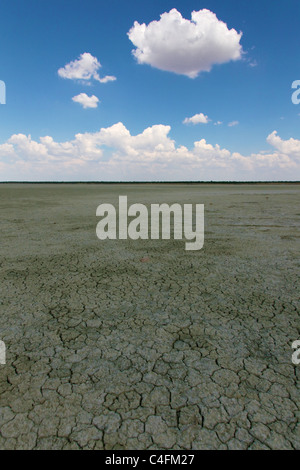 Sale di Etosha pan, Namibia Foto Stock