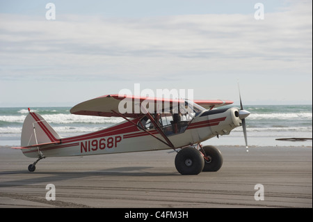 Piper Super Cub sulla spiaggia di Hinchinbrook Island, Alaska- 2011 Valdez Fly-in Alaska Foto Stock