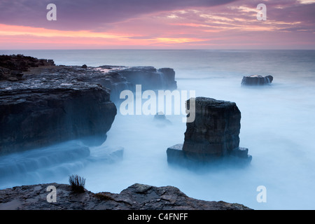 Bellissima alba oltre la costa rocciosa di Portland Bill su Jurassic Coast, Dorset, Inghilterra. Inverno (febbraio) 2011. Foto Stock