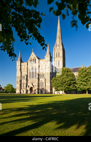 Il fronte ovest della cattedrale di Salisbury dal Duomo vicino, Salisbury, Wiltshire, Inghilterra. Molla (maggio) 2011. Foto Stock