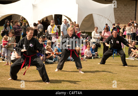 Una dimostrazione del coreano arte marziale di Kuk Sool ha vinto, Newmarket carnevale, Suffolk REGNO UNITO Foto Stock