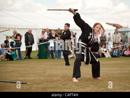 Una dimostrazione del coreano arte marziale di Kuk Sool ha vinto, Newmarket carnevale, Suffolk REGNO UNITO Foto Stock